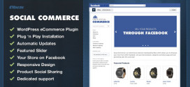 WooCommerce Facebook Plugin
